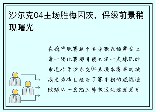 沙尔克04主场胜梅因茨，保级前景稍现曙光