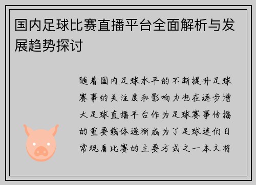 国内足球比赛直播平台全面解析与发展趋势探讨